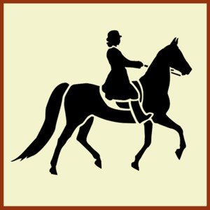 Saddlebred Horse With Rider