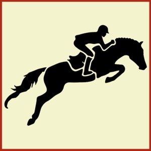 Hunter Jumper Horse and Rider