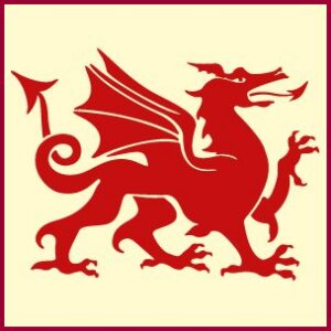 Welsh Dragon Stencil - Large
