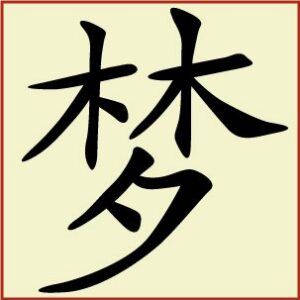 Kanji - Dream