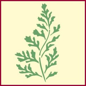 Fern 2 Stencil