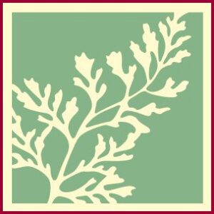 Fern 3 Stencil