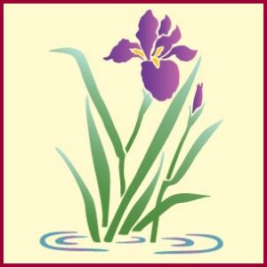 Water Iris 