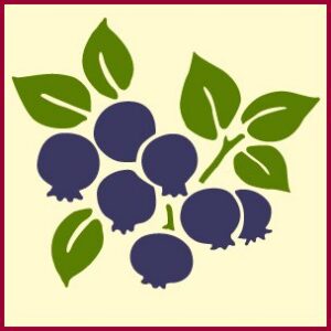 Blueberry Stencil