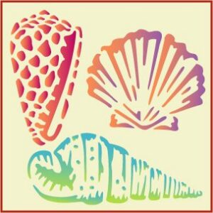 Seashell Set 
