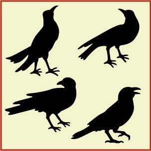 Crow Flock 3