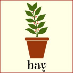 Bay Herb Stencil