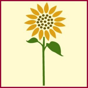 Sunflower 2